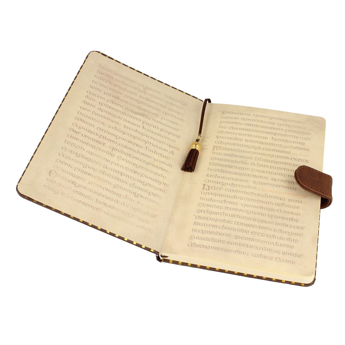 Trinity College Dublin Library A5 Notebook Brown