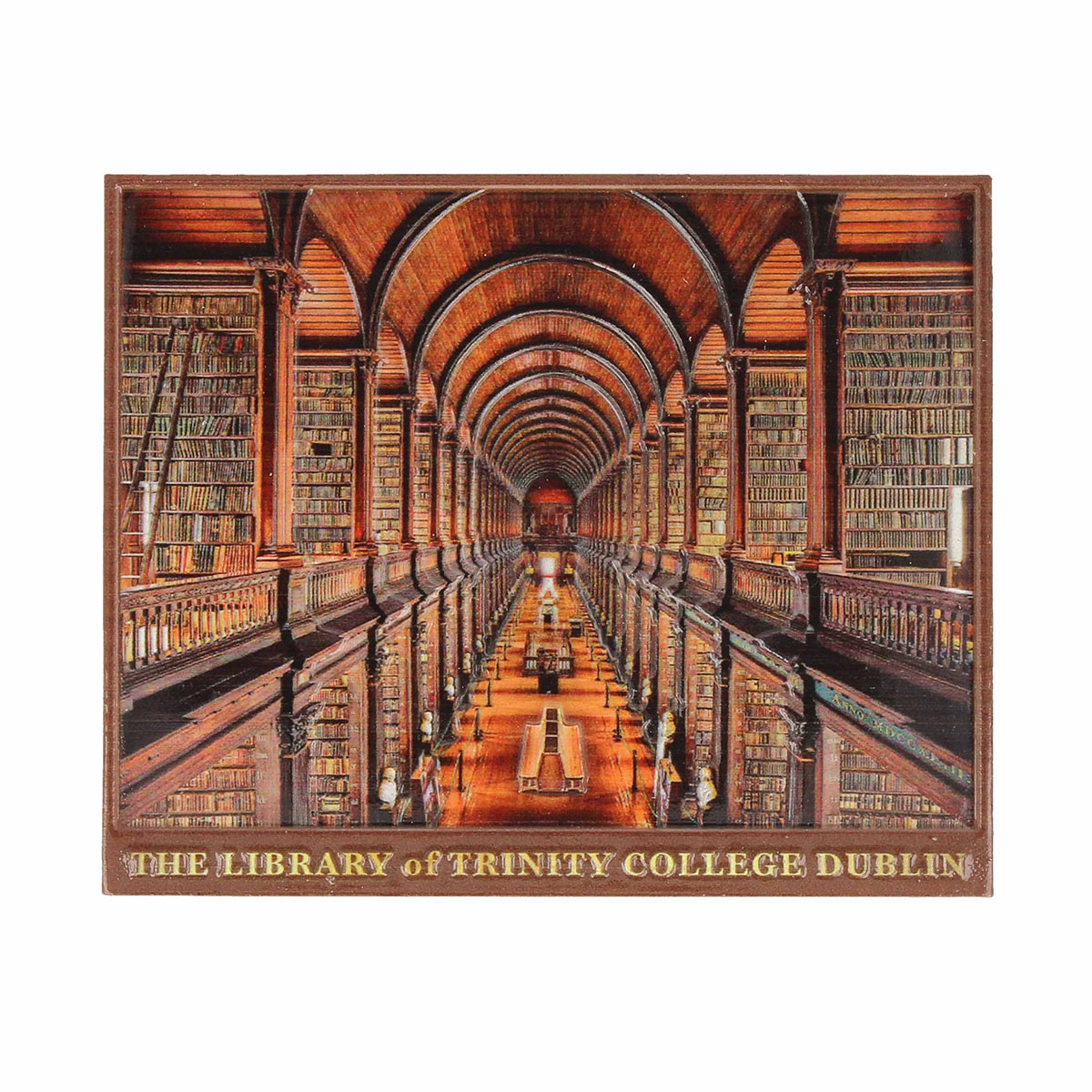 Trinity College Dublin Library Collection Printed Resin Magnet