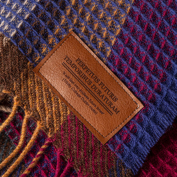 Long Room of the Old Library Avoca Blanket