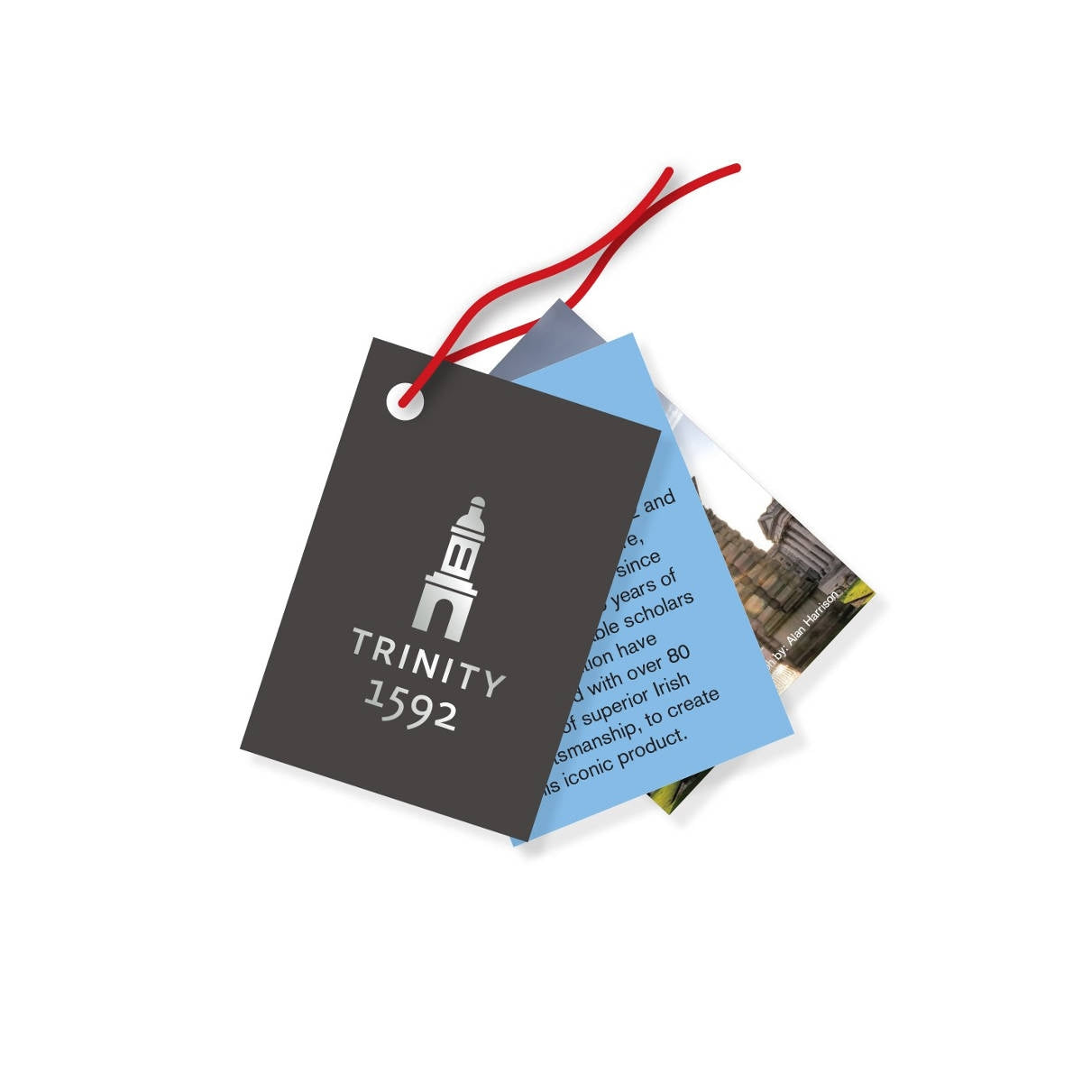 Newbridge Star Christmas decoration