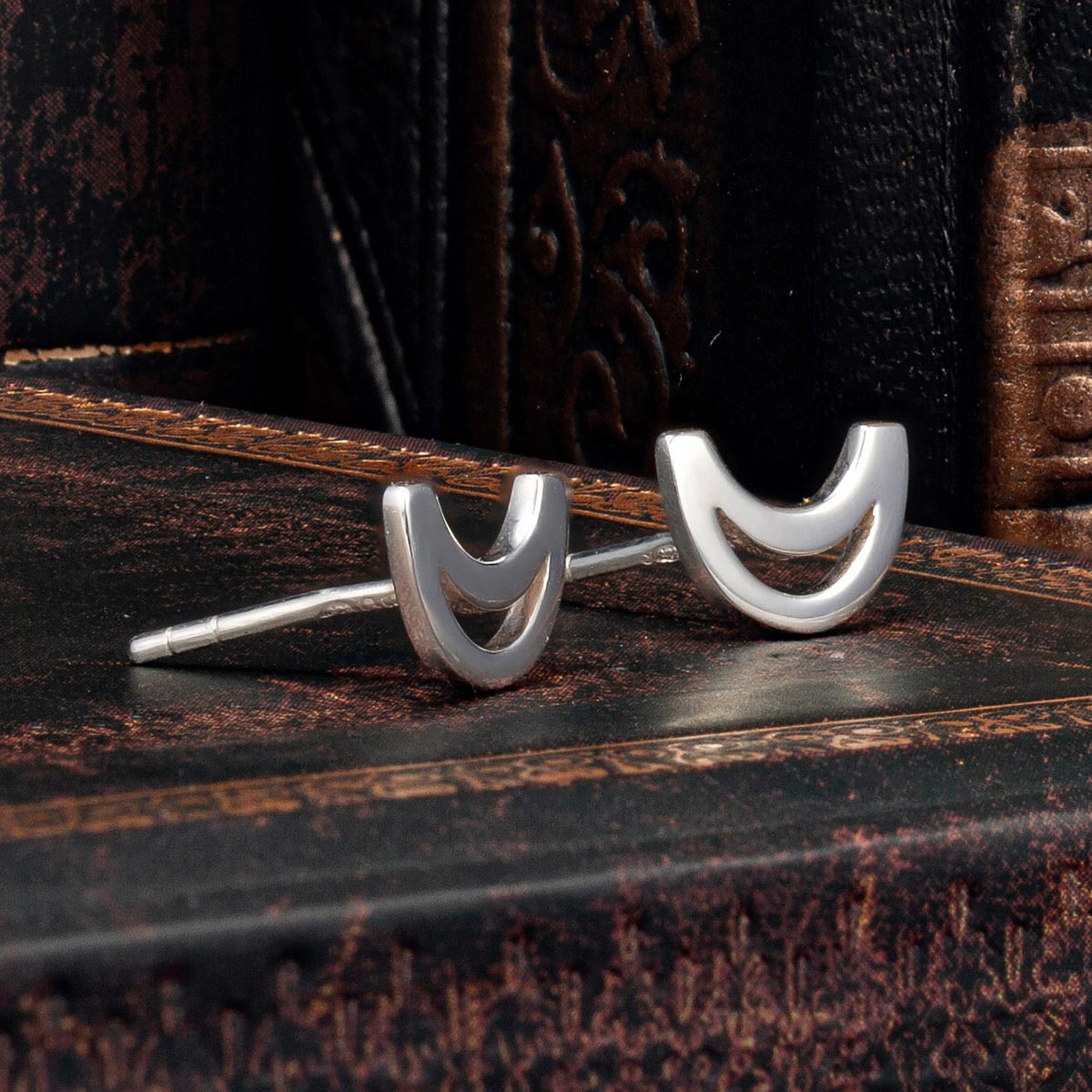 Trinity College Dublin Sterling Silver Stud Earrings Long Room Modern