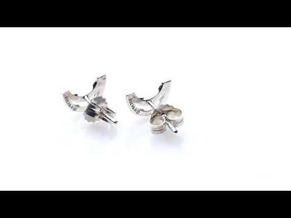 Trinity College Dublin Sterling Silver Stud Earrings Long Room Modern