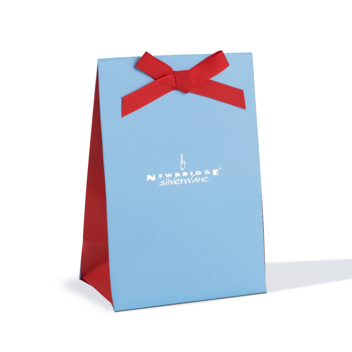 Newbridge Star Christmas decoration