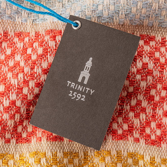 Trinity College Dublin Jonathan Swift Avoca Blanket