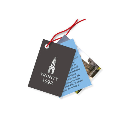 Newbridge Star Christmas decoration