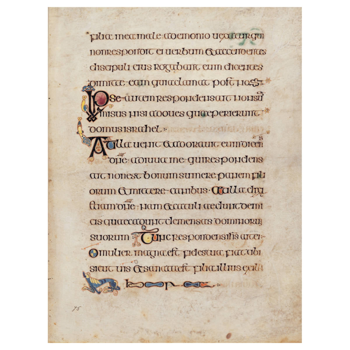 The Book of Kells Official Guide