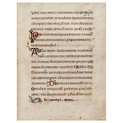 Das Book Of Kells Offizielle Einführung by Bernard Meehan